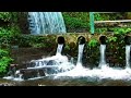 Relaxing Music Calming The Mind Relaxing Music Calming The Mind