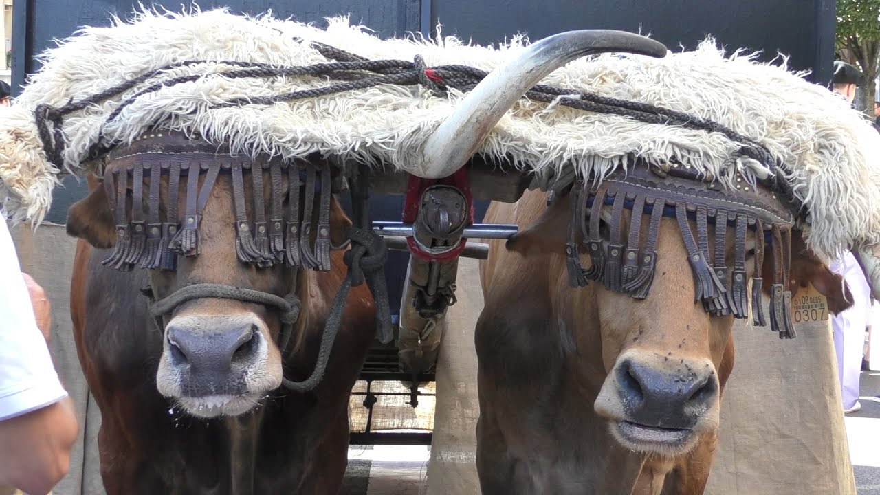 Irungo Euskal Jira 2016 | Irungo Telebista