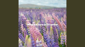 Romantic Moods for Forgetting Summer