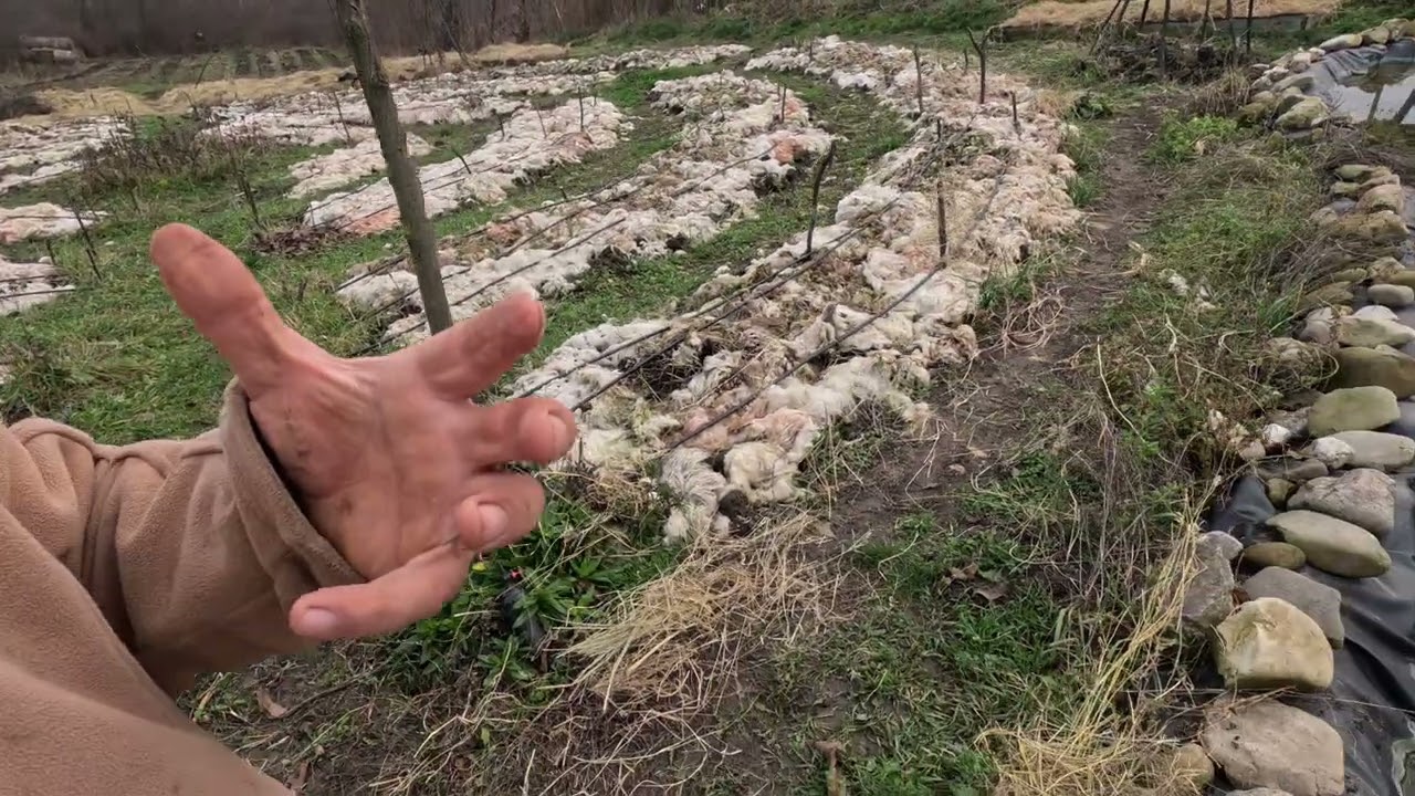 Mandala cu lana pregatita in decembrie