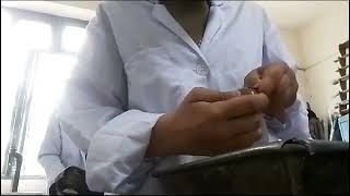 Dissecting Pila: A Practical Guide for Biology Students