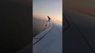 Landing In Incheon Seoul International Airport By Cathay Pacific Airlines In Day Time.