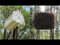 15 UNBELIEVABLE Tree Houses