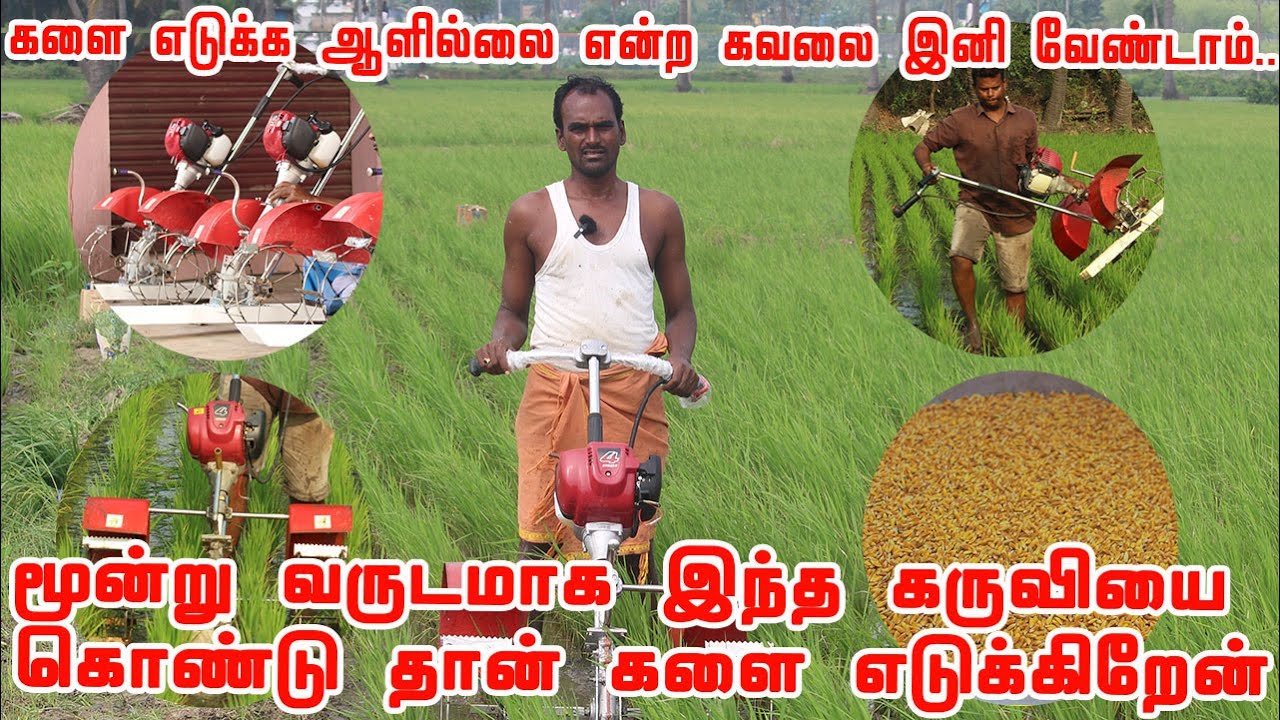 இனி நெல் வயலில் களைகளை கண்டு அஞ்சவேண்டாம்..Three Row Paddy Power Weeder மூன்று வரிசை நெல் பவர் வீடர்