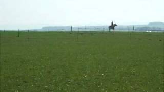 Flicka cantering.AVI