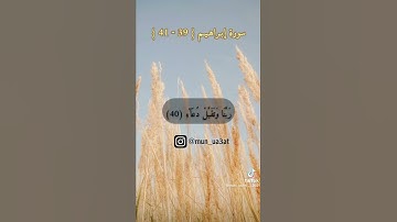 تلاوه هادئه جدا جدا 🤲 راحه نفسيه بصوت جميل جدا/ يوسف ربيع جمعه (1)