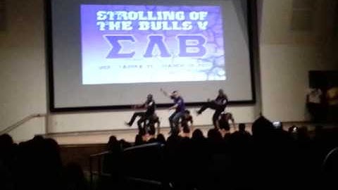 SOTB5 R3 Sigma Lambda Beta