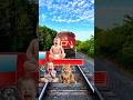golden colors Cute cat &amp; baby vs herd of bigfoot &amp; train driver tom #tranding#funnyvfx🤣🤣