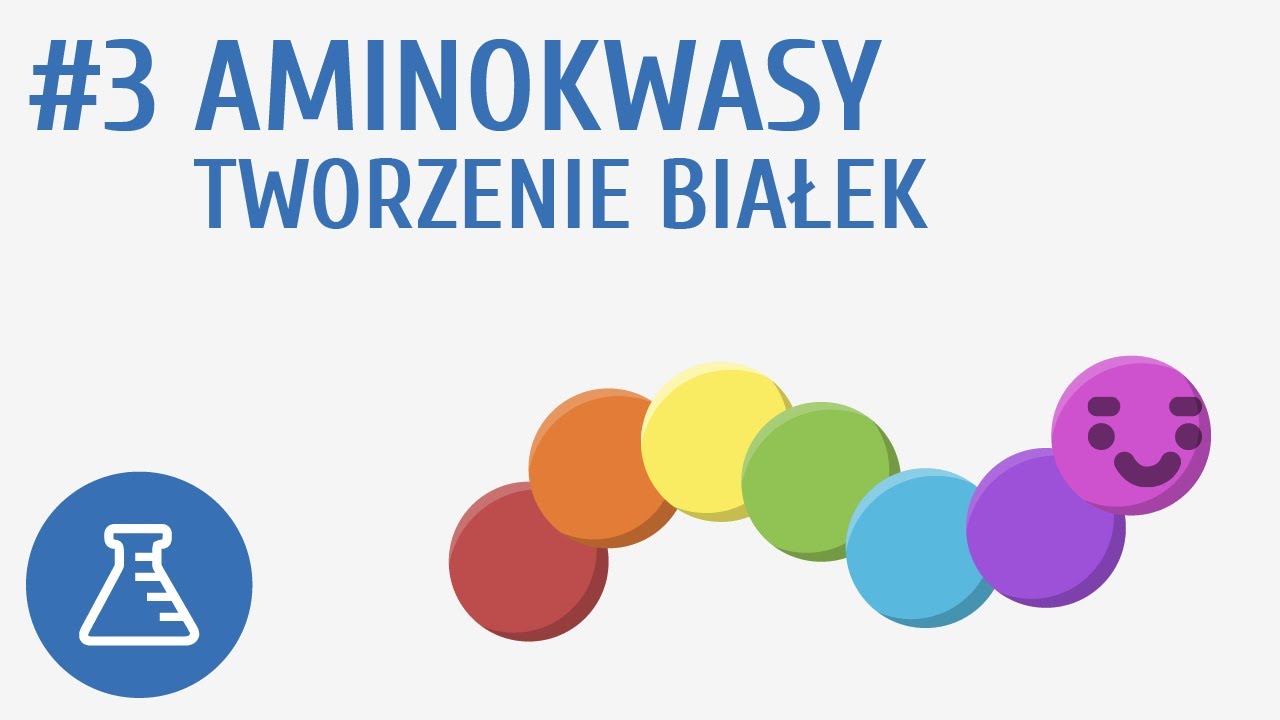 Co Trzeba Wiedzieć Na Sprawdzian Z Aminokwasów Aminokwasy, tworzenie białek #3 [ Biologiczne związki organiczne