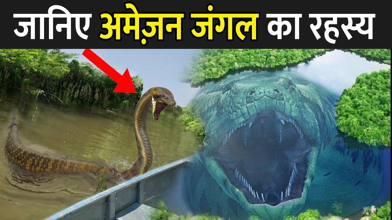 जानिए अमेज़न जंगल का रहस्य | Amazon Jungle In Hindi | Amazon Jungle Ka Rahasya
