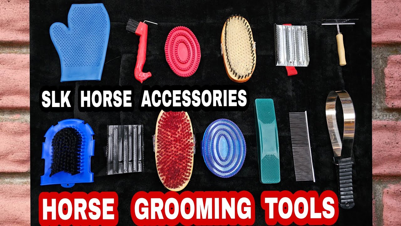 💥HORSE GROOMING TOOLS/horse grooming satisfying/horse grooming in india/horse grooming tips/SLK 💥💥