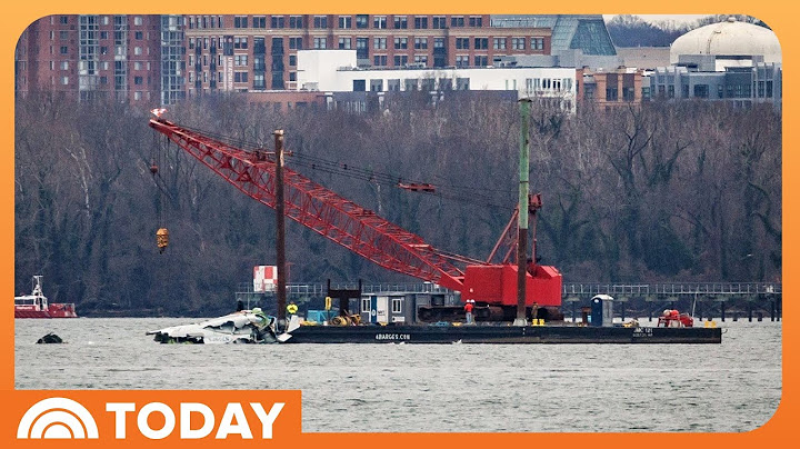 Salvage operations underway in DC plane crash
