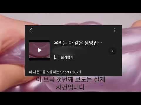 액괴계 쇼츠 불편했던거 액괴시리즈 시리즈액괴 소규모시리즈 소규모시액 소시액 소실즈 고딕시리즈 고딕실즈 4개시리즈 4개실즈 소규모시리즈액괴 공론화시리즈 토론 공론화