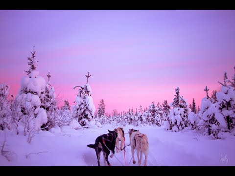 Trip to Lapland, Saariselkä