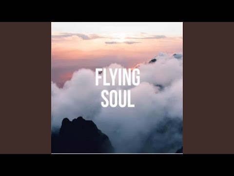 Video: Flying Soul - Alternativ Visning