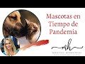 Mascotas en Tiempo de Pandemia