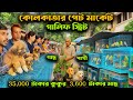 Galiff Street Pet Market Fish, Dogs, Plants &amp; Birds in Kolkata | গালিফ স্ট্রিট মার্কেটের সমস্ত তথ্য
