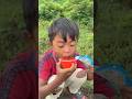 Survival Skills: SMART idea and USEFUL in Forest #bushcraft #camping #outdoors