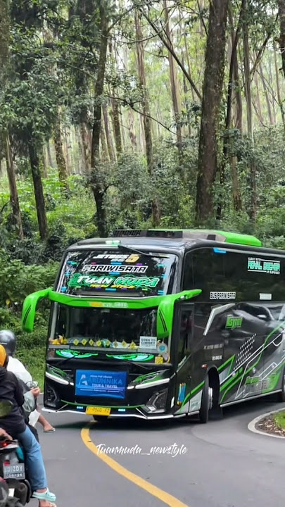 Story'WA bus MSM ASYROF TUAN MUDA mboiss 30 detik