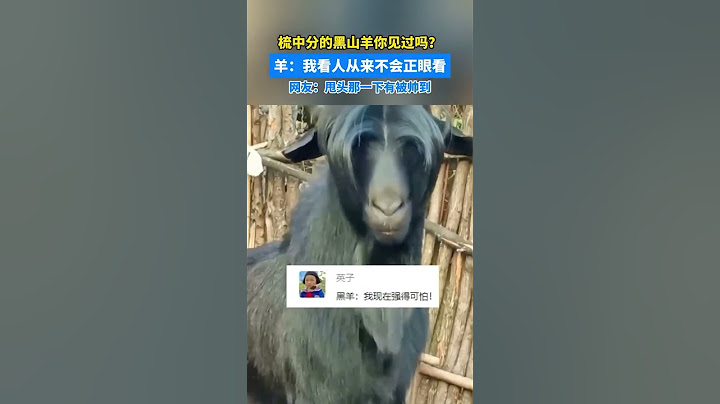 梳中分的黑山羊你看過嗎？羊：我看人從來不會正眼看，網友：甩頭那一下有被帥到