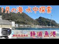 【水中カメラ】冬の静浦魚港 超有名釣りスポット 静岡県沼津市 海中映像 計6か所 釣り人必見?!　1月です