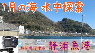 【水中カメラ】冬の静浦魚港 超有名釣りスポット 静岡県沼津市 海中映像 計6か所 釣り人必見?!　1月です