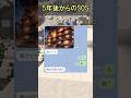 5年後からのSOS #感動する話 #感動ストーリー #line