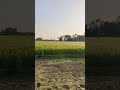 #nature #motivation #farminglife #Dream#Science #Agriculture