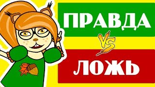 видео Правда ли, что бородавки от лягушек? От чего появляются бородавки? Возможно ли удалить бородавку в домашних условиях?