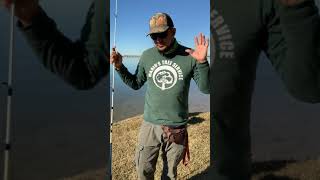 How I started my tree service company