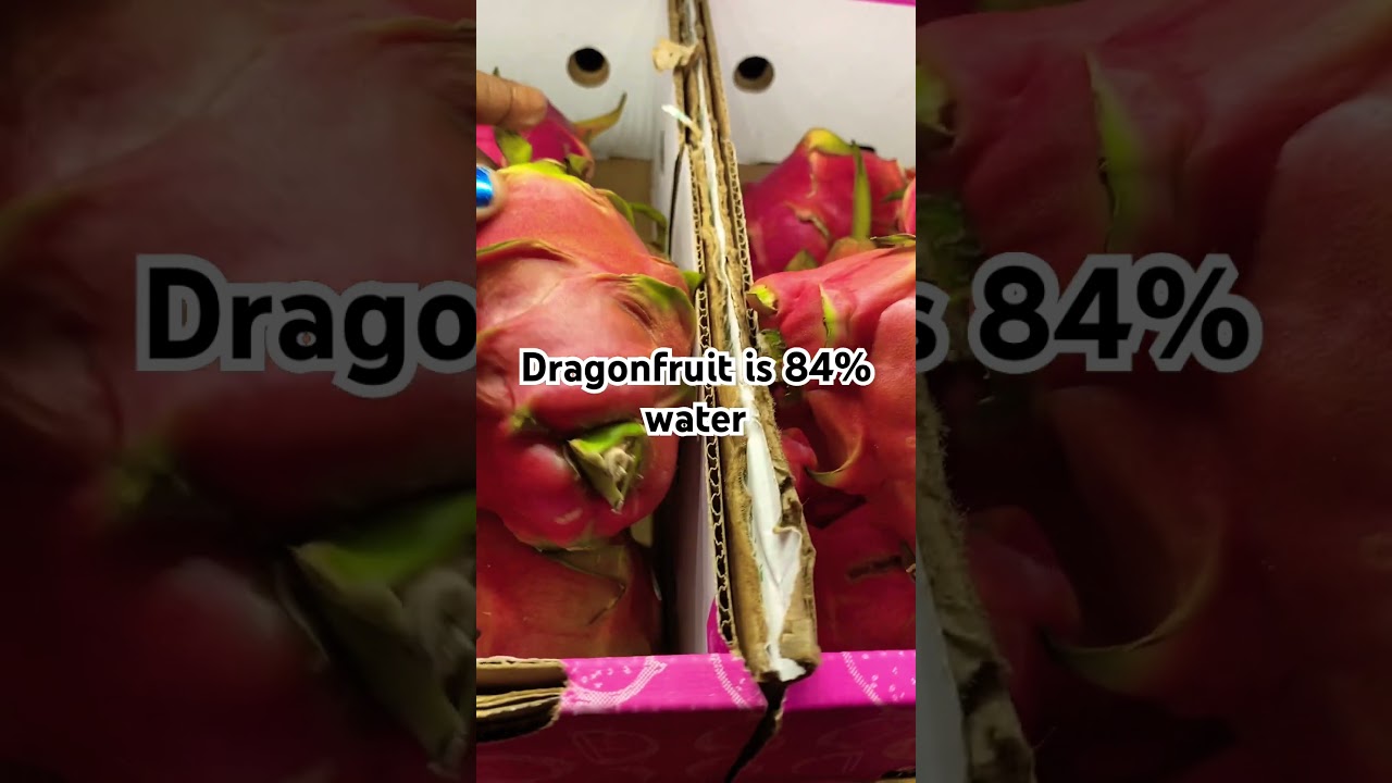 Dragonfruit is a Good Source of Hydration 