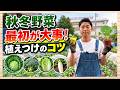 【秋冬野菜】最初が大事！植え付けを成功させるコツ【ハイポネックス】【リキダス】