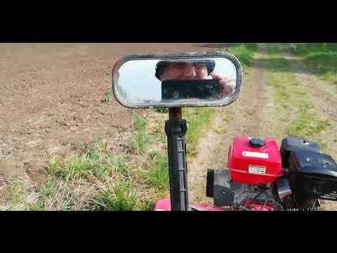 Карасямба попался 🐡Даяну понравился 👍. - YouTube