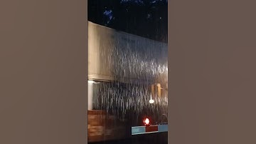 Seaboard Systems HU leads I044 #csx #railroad #csx_trains #railfan #heritageunit #railway #wildwood