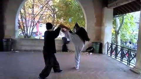 JRQ BA GUA  ZHANG WORKOUT : palm change & combat  tactics