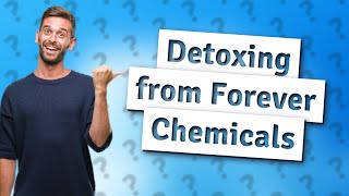 How Can I Detox My Body from Forever Chemicals