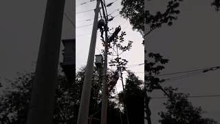 ✅Construyendo REDES ELÉCTRICAS con mis ALUMNOS 4#electricidad#electricista#electrico#lineman#liniero