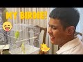 Happy Bird Days! | CANDY & QUENTIN | OUR SPECIAL LOVE