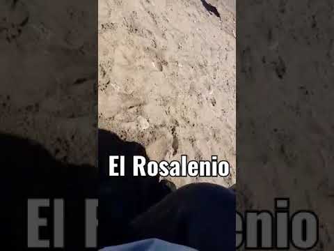 Peligroso vuelo rasante en Pehuen Có