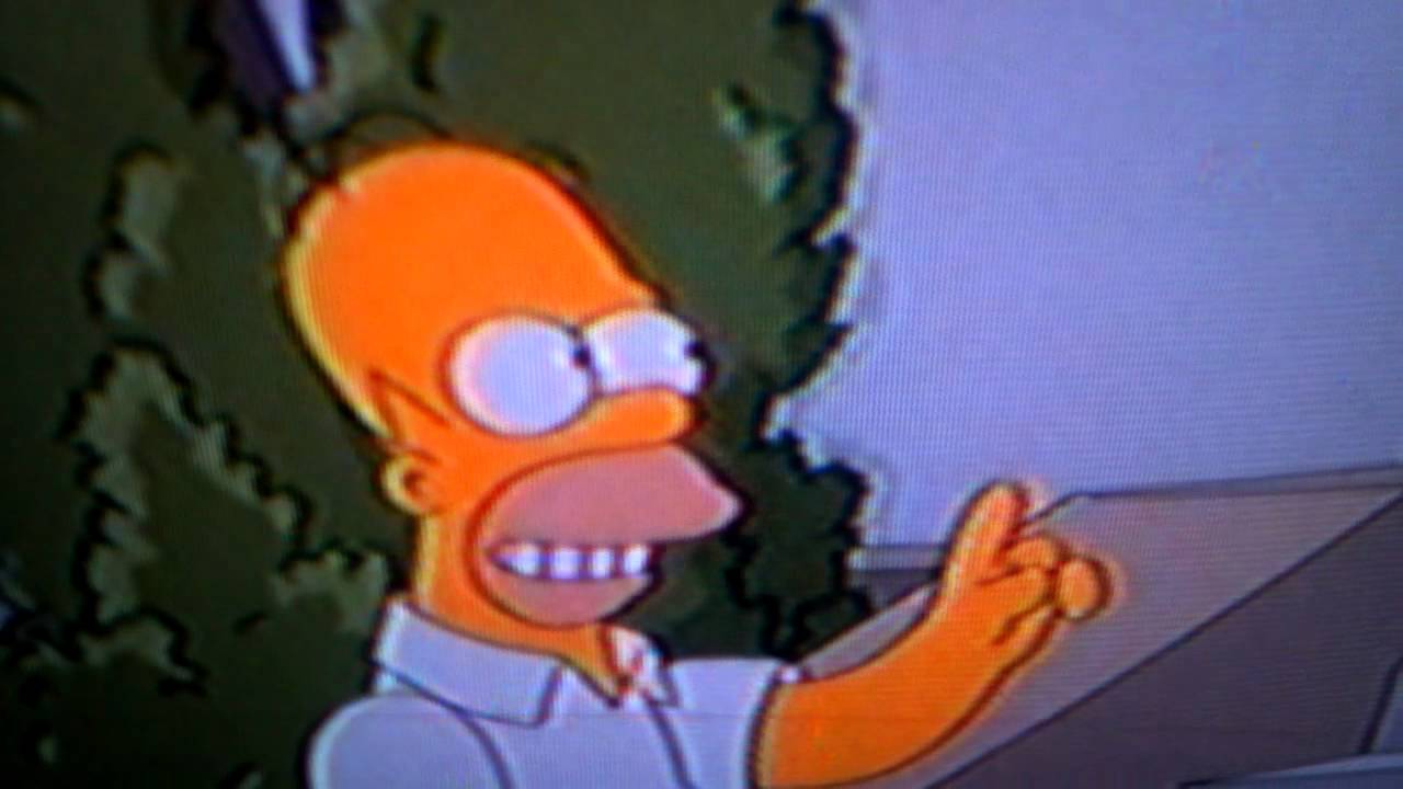 Homer Simpson on marriage