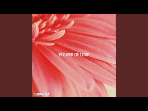 Video: Nile Flower Of Love