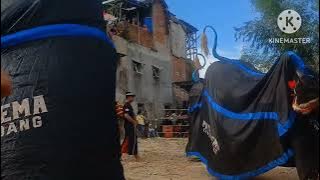 Mberotnya!!! PUTRA AREMA Feat LEMBU TARUNO