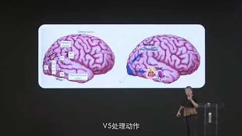 神經認知心理學 男女之別 - 天天要聞