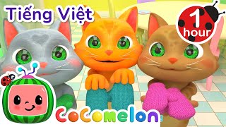 Ba Chú Mèo Con | CoComelon Tiếng Việt | Nhạc cho Trẻ em | Bài hát Ru ngủ