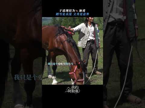 #于适 和马儿才是真爱🐎爱情都是浮云~ #我的阿勒泰