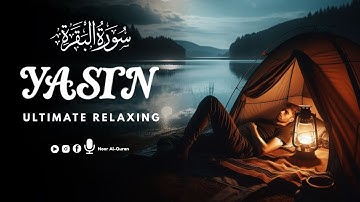 Surah Yaseen (Yasin) سورة يس | Soothing Lofi Quran for Stress Relief & Tranquil Rest | Noor Al-Quran