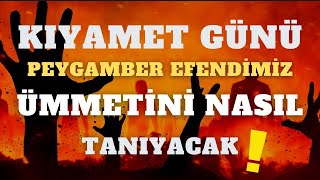 Kıyamet günü peygamber efendimiz ümmetini nasıl tanıyacak ? | Muhammed Emin Yıldırım