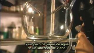 El Caso Del Creador 1/3 - Origen de la Vida y Explosión Cámbrica