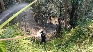 Penanganan Kebakaran Lahan Berisi Bambu Kering Di Desa Sulangai 