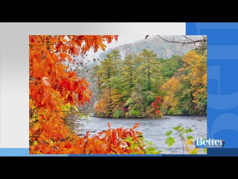 Vídeo: Os melhores lugares para ver a folhagem de outono em Connecticut